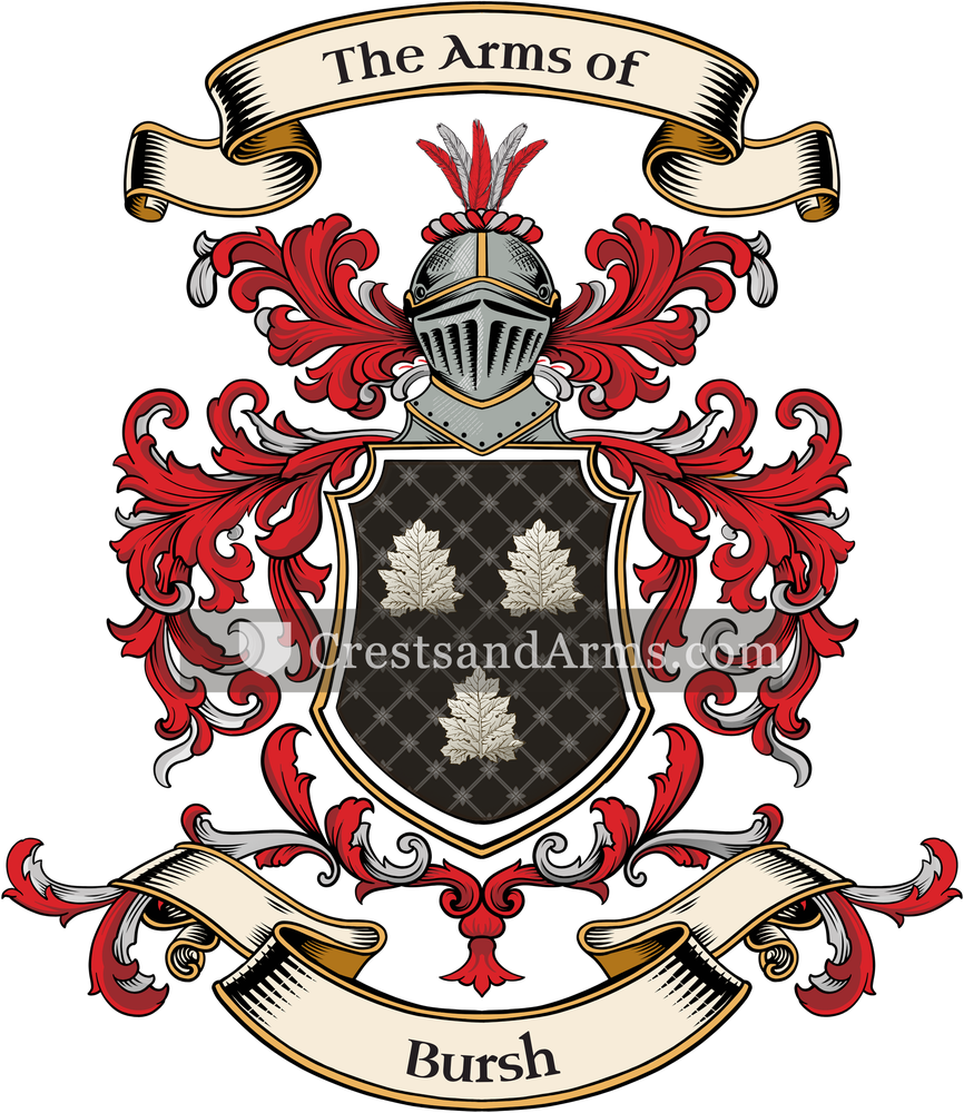 The Bursh coat of arms, drawn from the recorded blazon