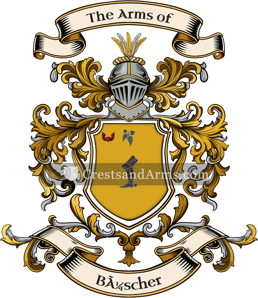 The Büscher coat of arms, drawn from the recorded blazon