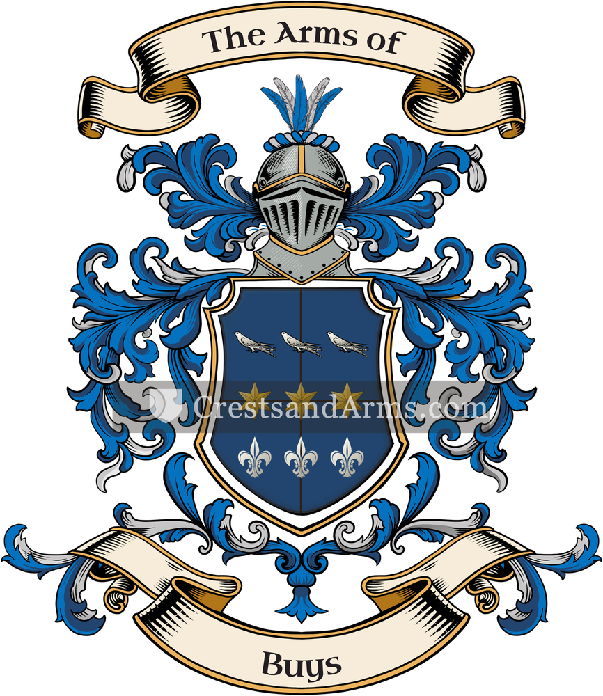 The Buys coat of arms, drawn from the recorded blazon