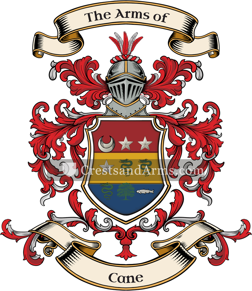 The Cane coat of arms, drawn from the recorded blazon