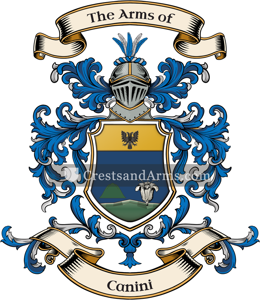 The Canini coat of arms, drawn from the recorded blazon