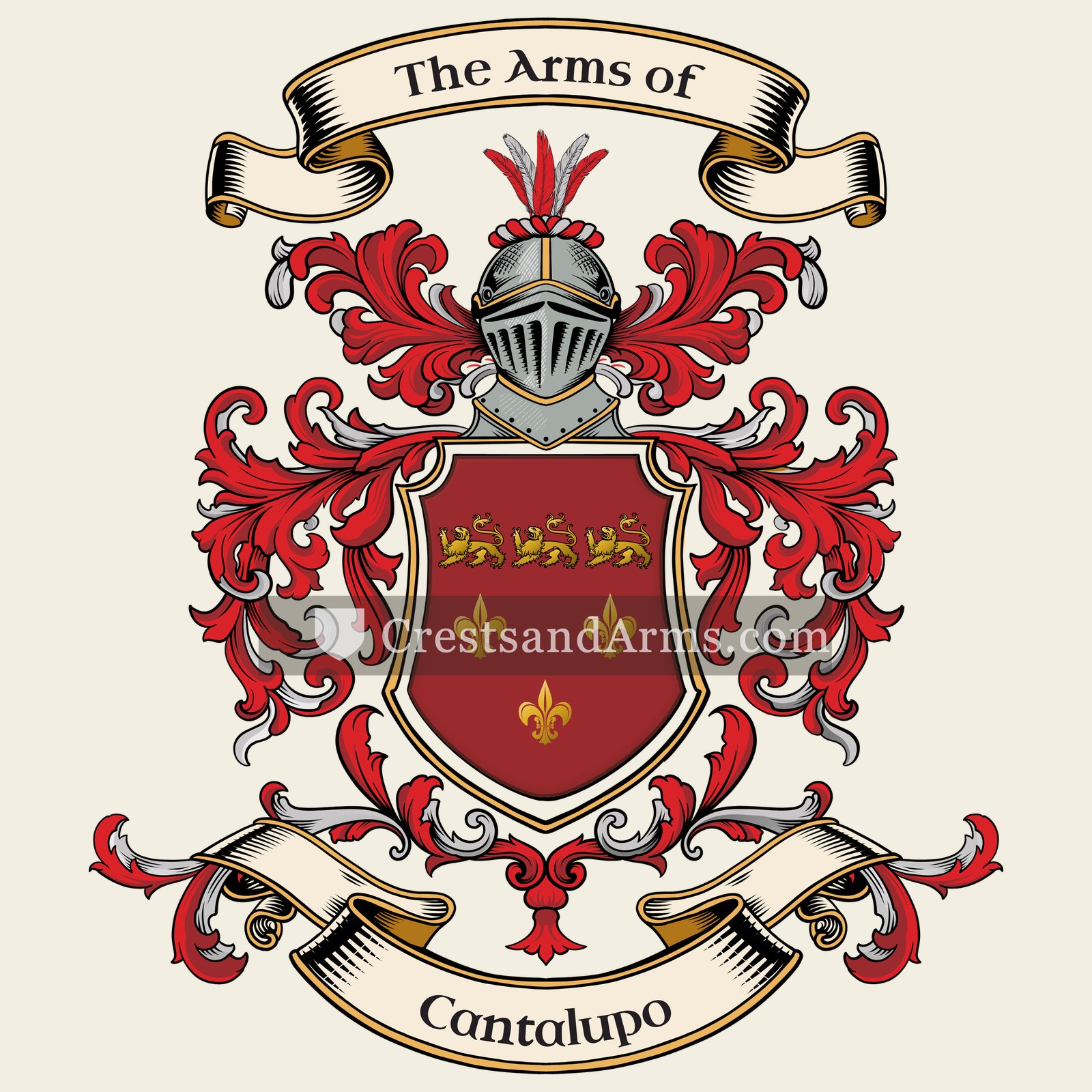 The arms