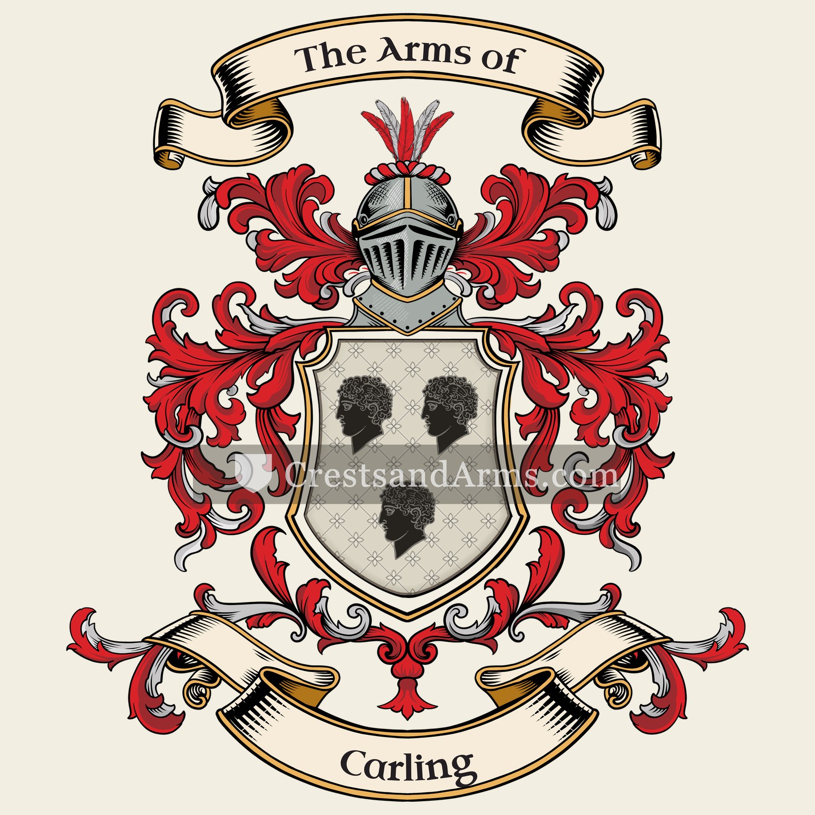 The arms