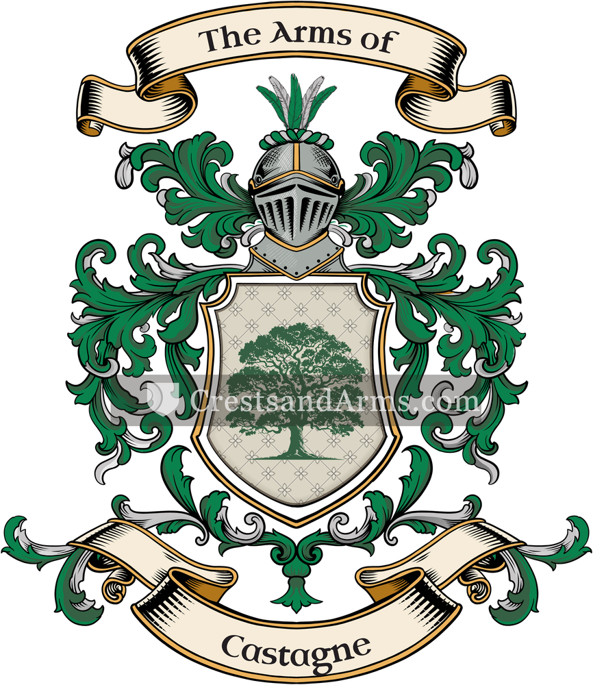 The Castagne coat of arms, drawn from the recorded blazon
