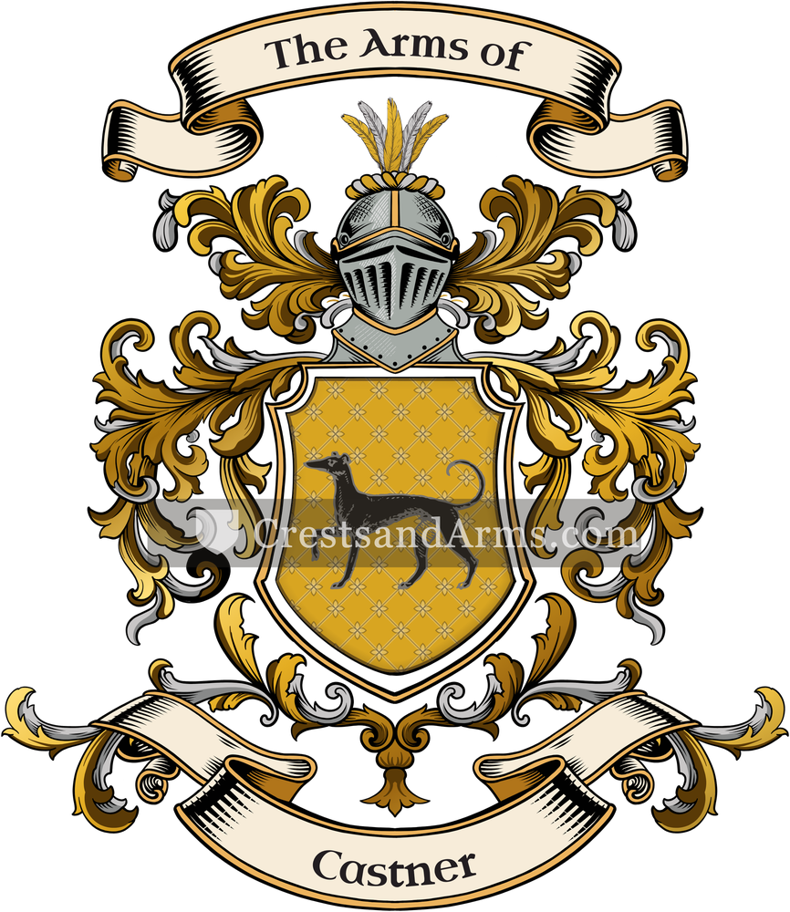 The Castner coat of arms, drawn from the recorded blazon