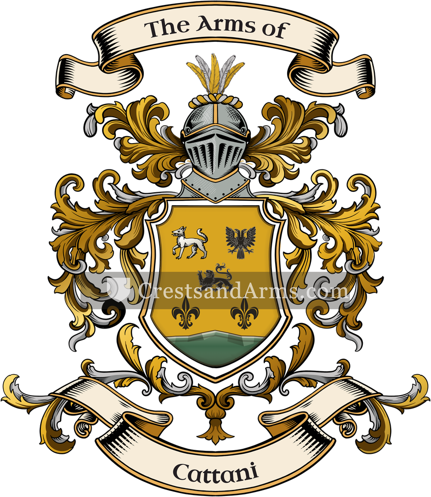 The Cattani coat of arms, drawn from the recorded blazon