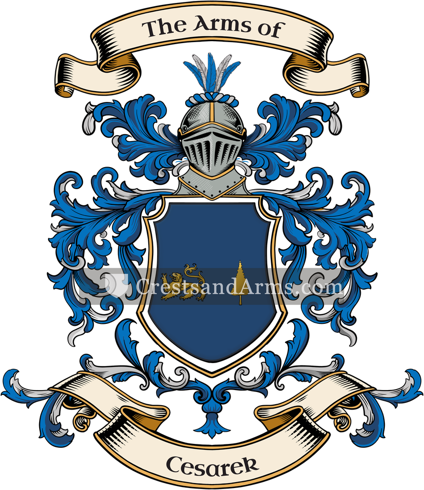 The Cesarek coat of arms, drawn from the recorded blazon
