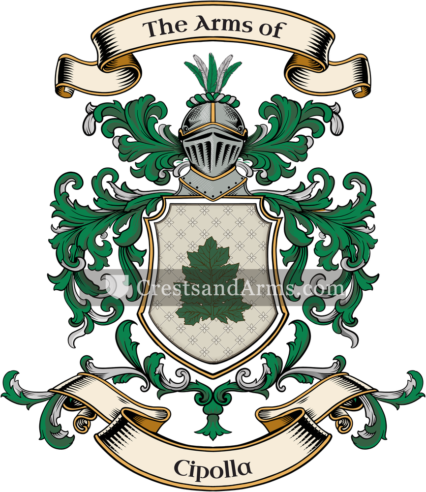 The Cipolla coat of arms, drawn from the recorded blazon