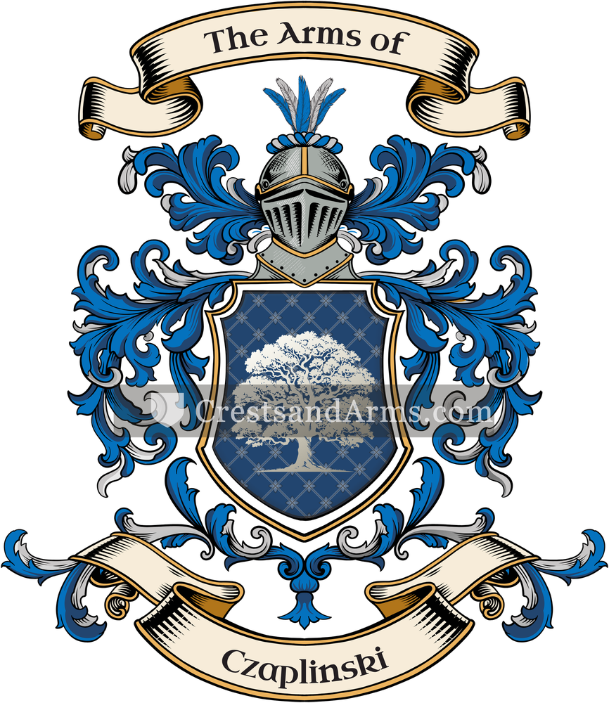 The Czaplinski coat of arms, drawn from the recorded blazon