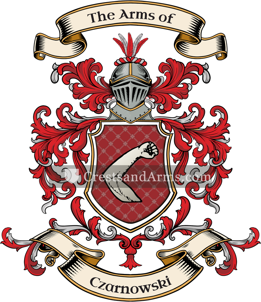 The Czarnowski coat of arms, drawn from the recorded blazon