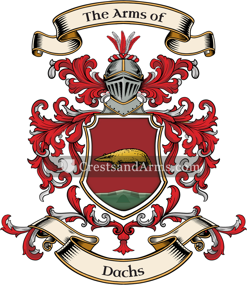 The Dachs coat of arms, drawn from the recorded blazon