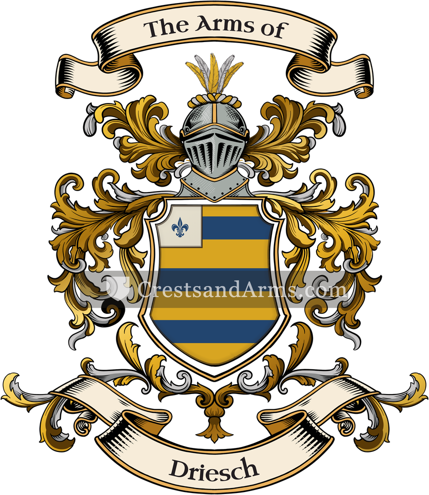 The Driesch coat of arms, drawn from the recorded blazon