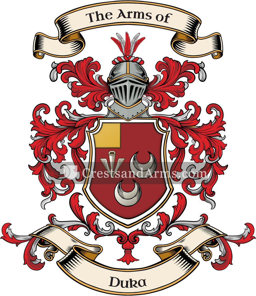 The Duka coat of arms, drawn from the recorded blazon