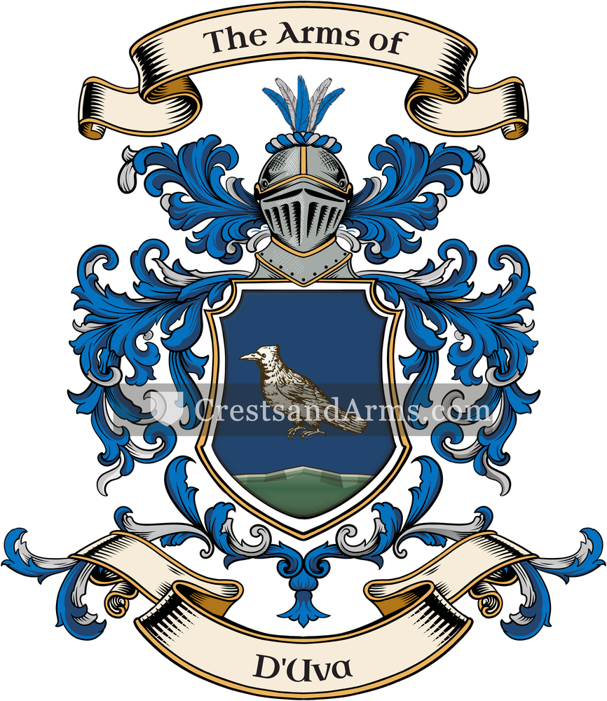 The Duva coat of arms, drawn from the recorded blazon