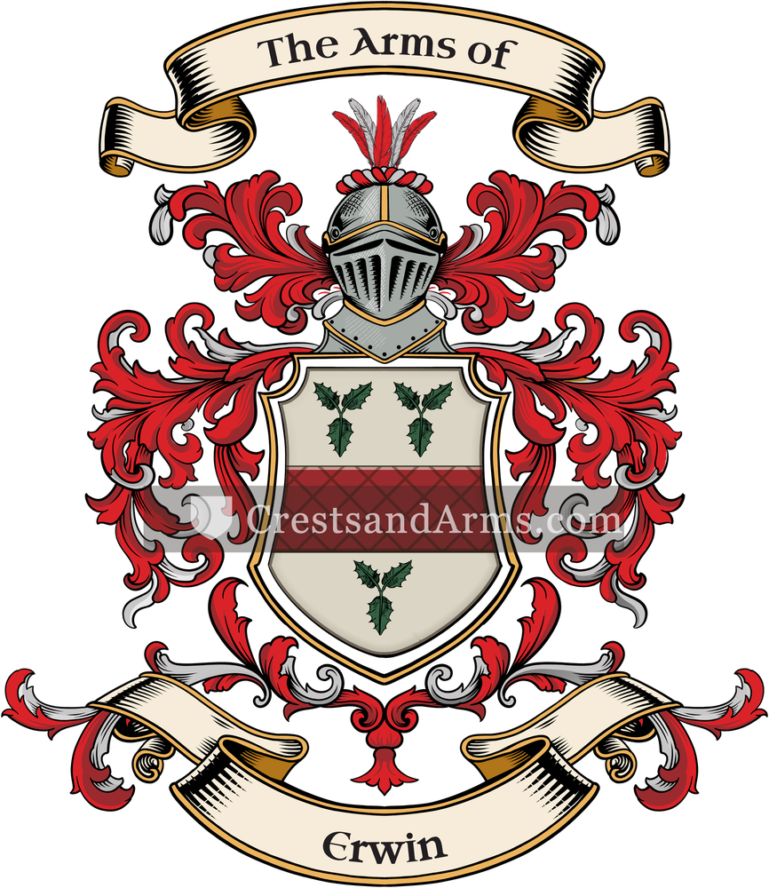 The Erwin coat of arms, drawn from the recorded blazon