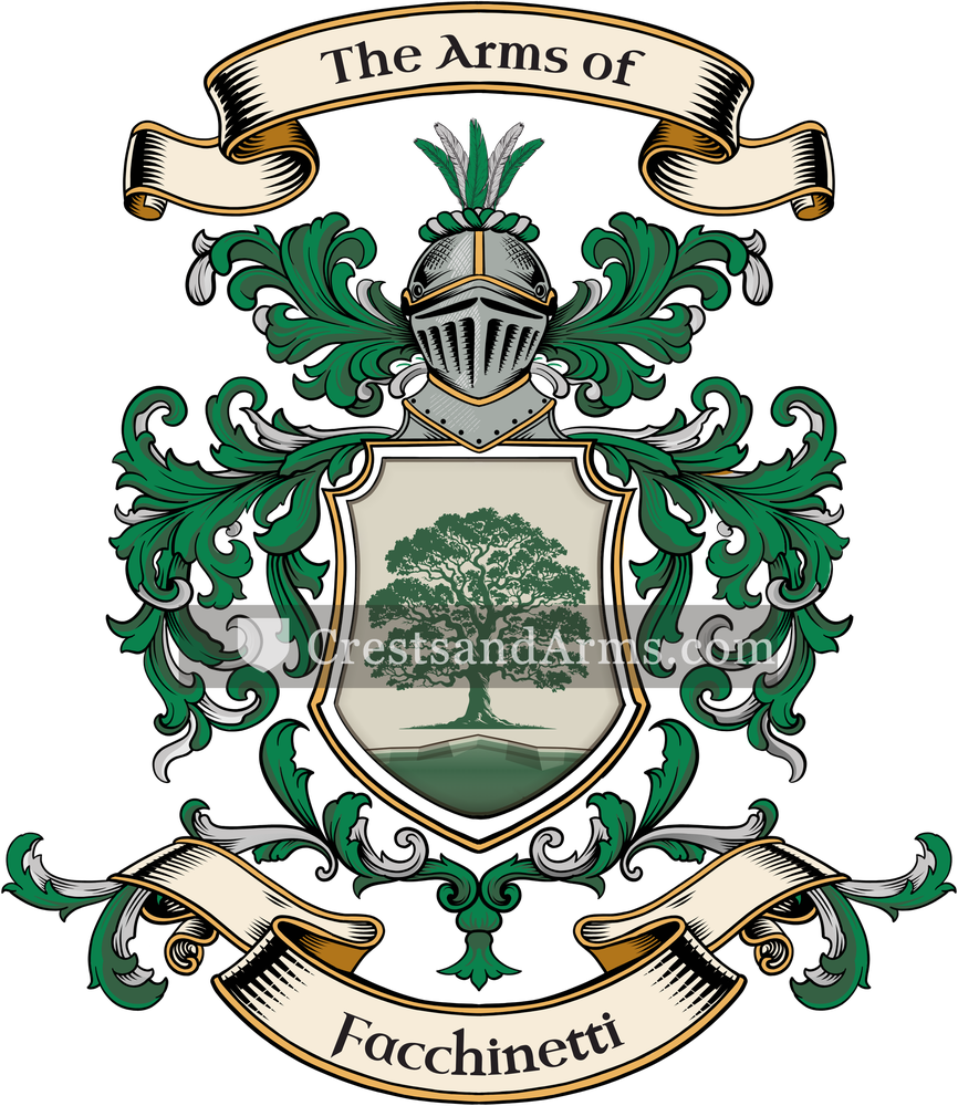 The Facchinetti coat of arms, drawn from the recorded blazon