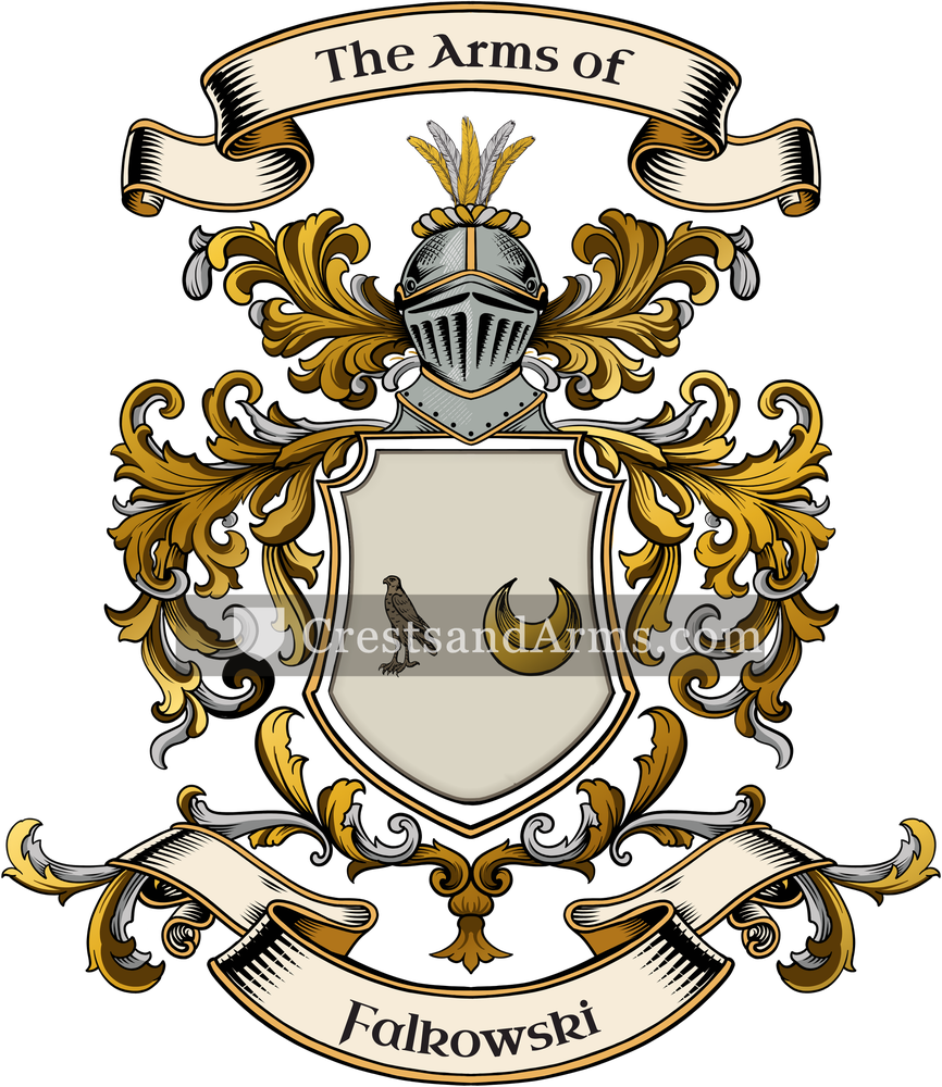 The Falkowski coat of arms, drawn from the recorded blazon