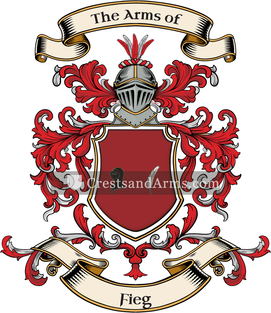 The Fieg coat of arms, drawn from the recorded blazon