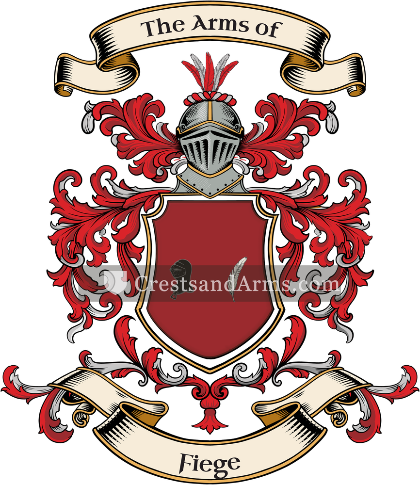 The Fiege coat of arms, drawn from the recorded blazon