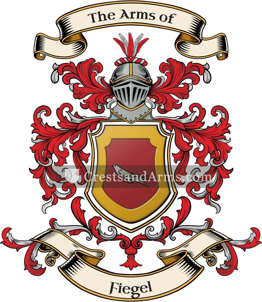 The Fiegel coat of arms, drawn from the recorded blazon