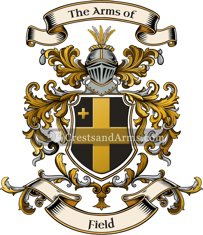 The Field coat of arms, drawn from the recorded blazon