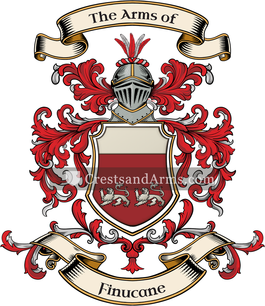 The Finucane coat of arms, drawn from the recorded blazon