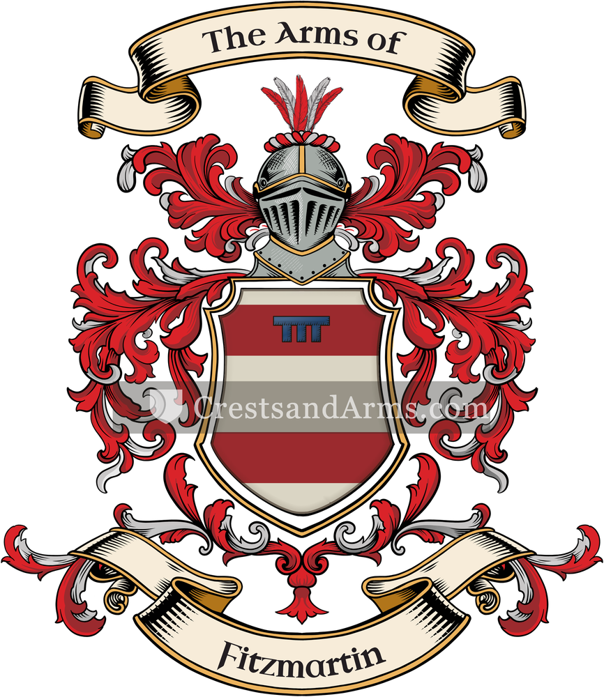 The Fitzmartin coat of arms, drawn from the recorded blazon
