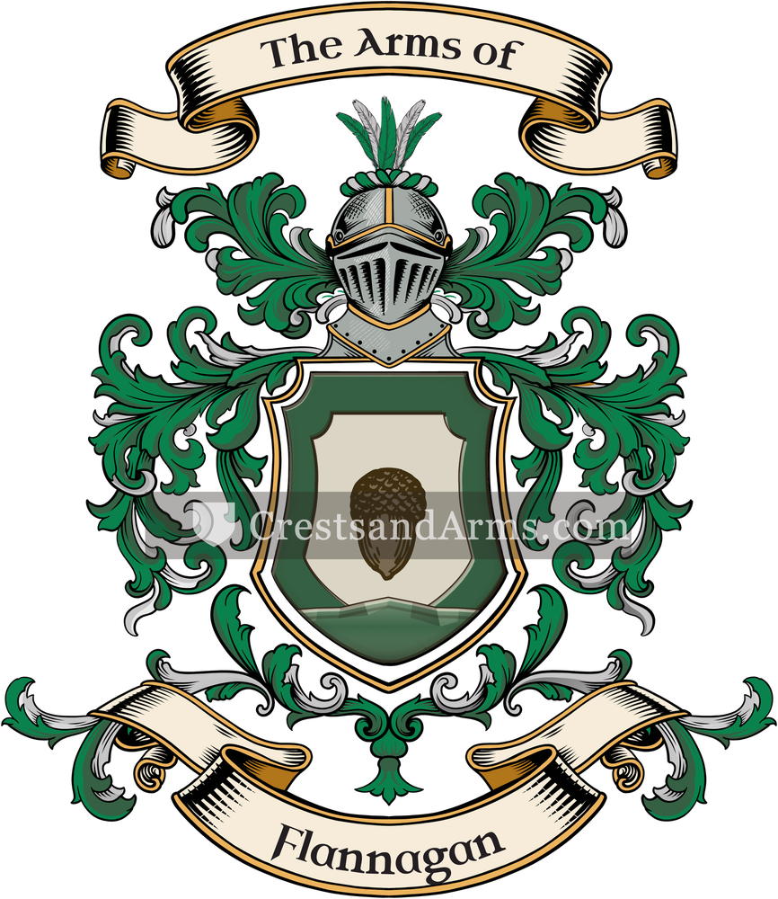 The Flannagan coat of arms, drawn from the recorded blazon