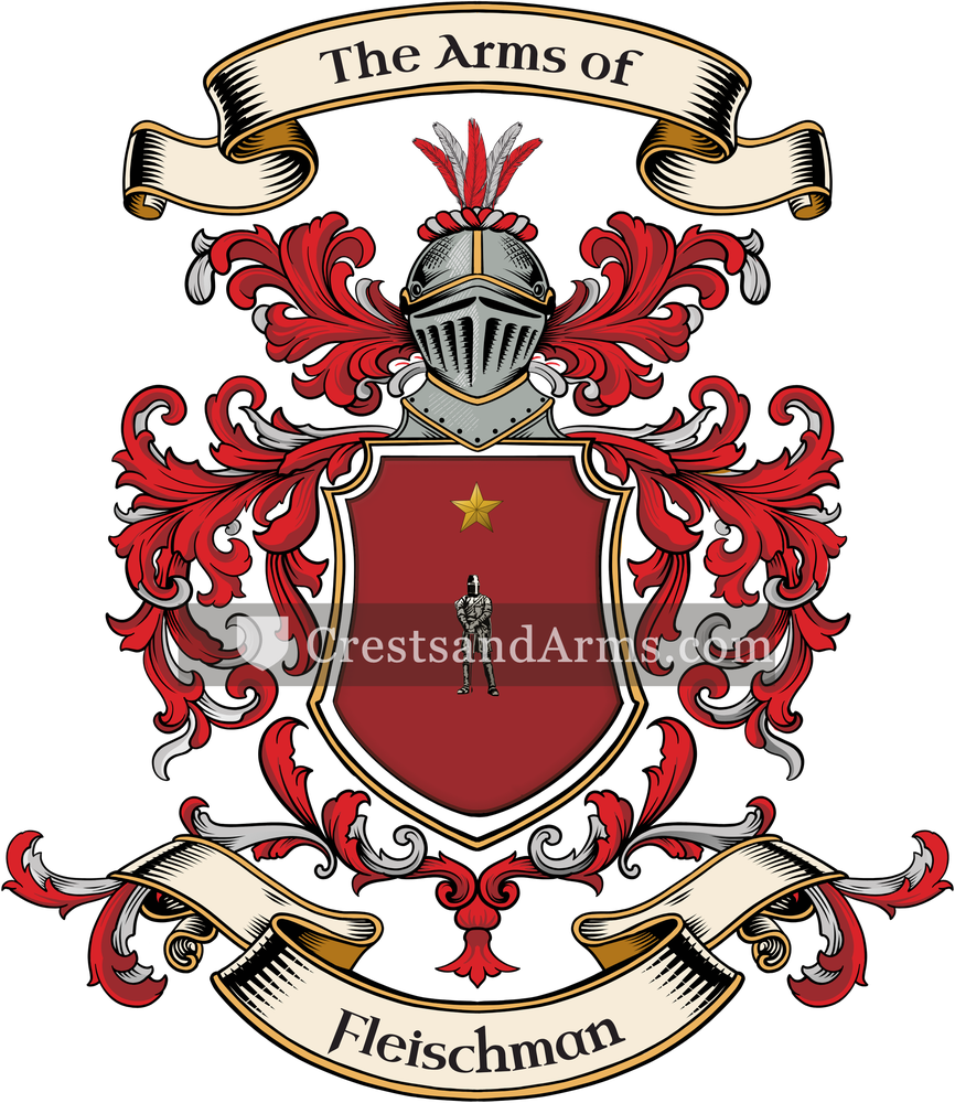 The Fleischman coat of arms, drawn from the recorded blazon