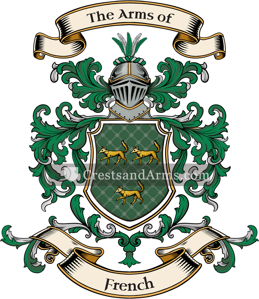 The French coat of arms, drawn from the recorded blazon