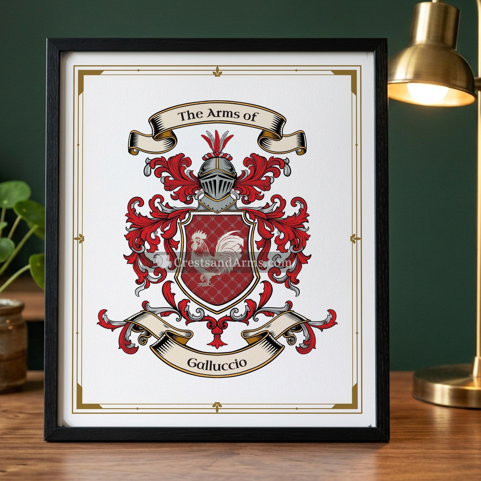 The Galluccio arms on the framed, black wood