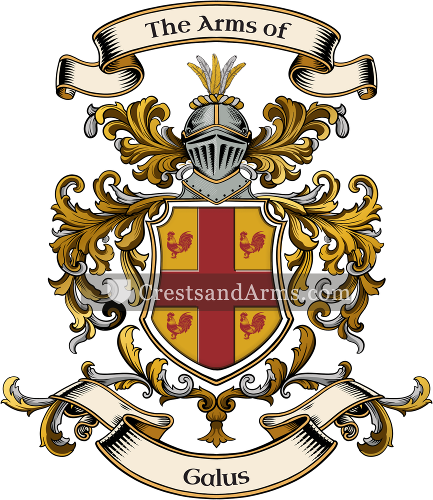 The Galus coat of arms, drawn from the recorded blazon