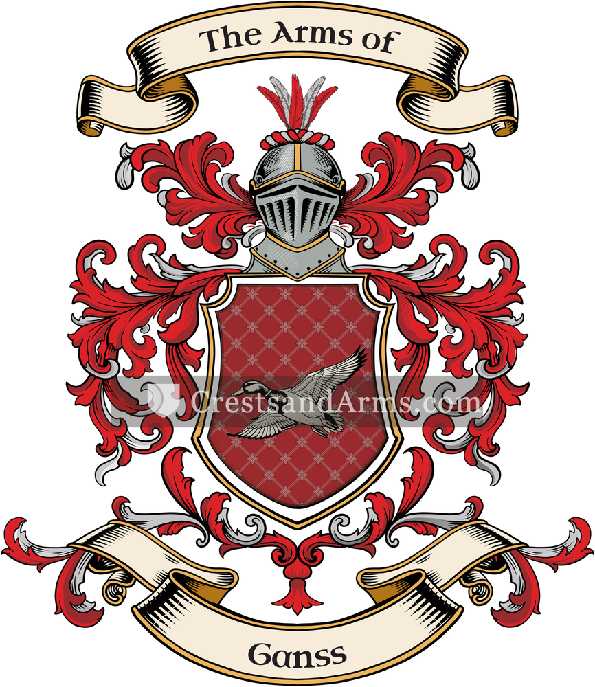 The Ganss coat of arms, drawn from the recorded blazon