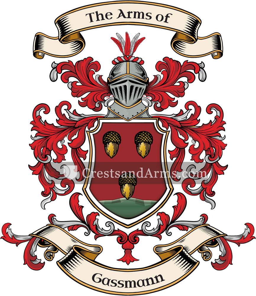 The Gassmann coat of arms, drawn from the recorded blazon