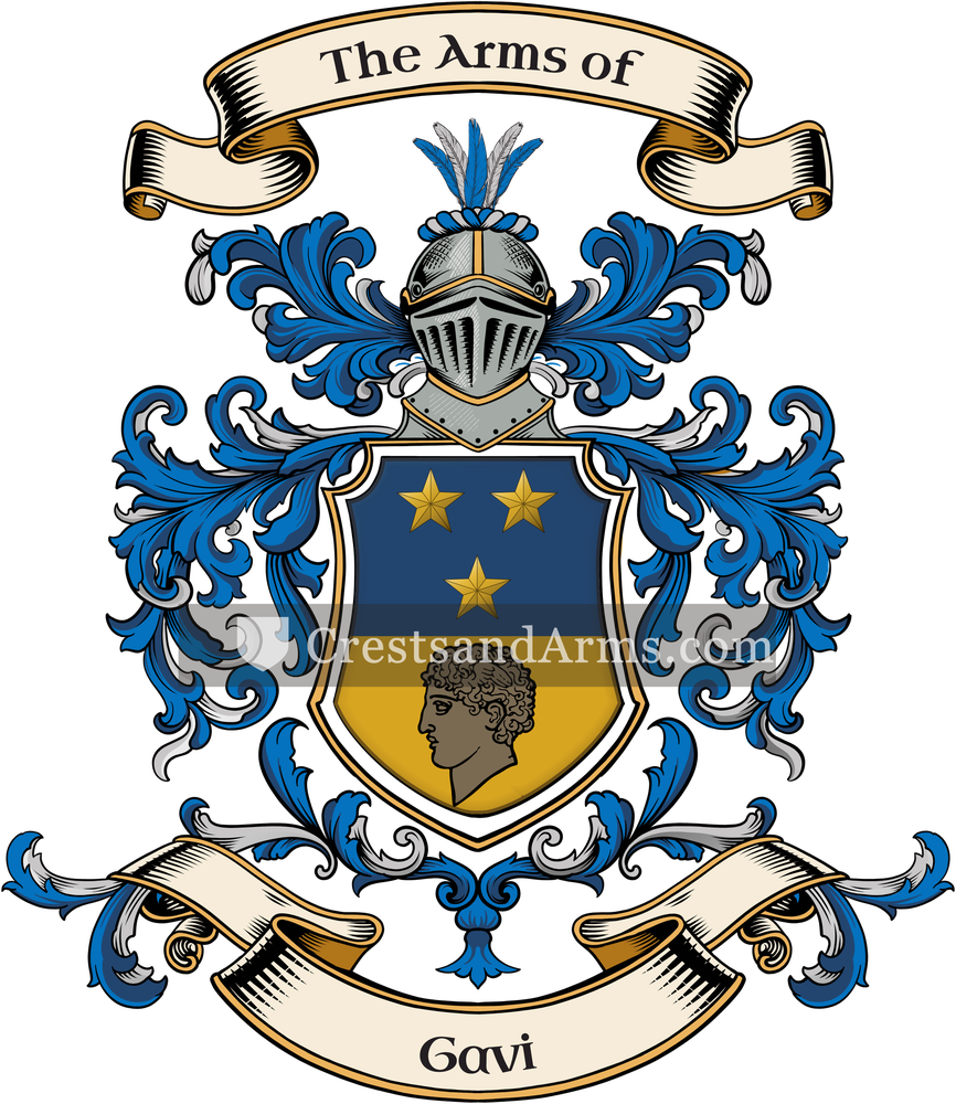 The Gavi coat of arms, drawn from the recorded blazon