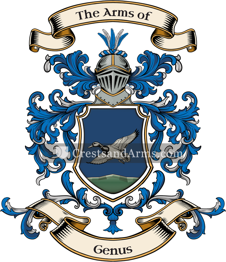 The Genus coat of arms, drawn from the recorded blazon