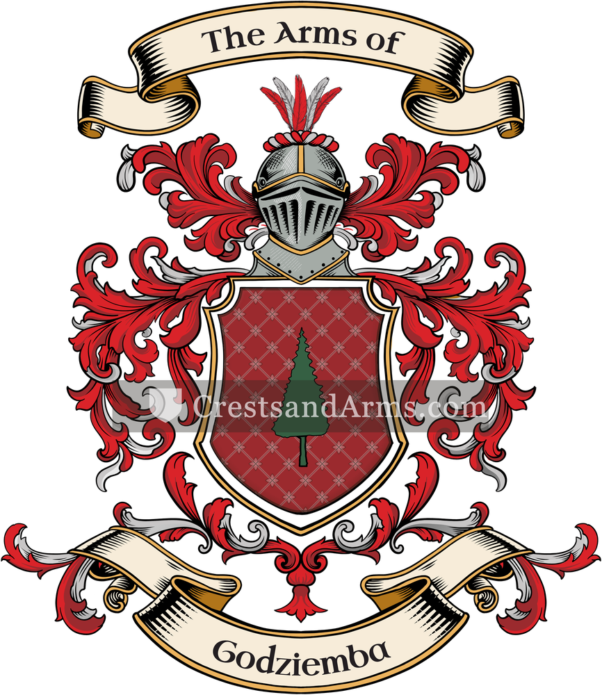 The Godziemba coat of arms, drawn from the recorded blazon