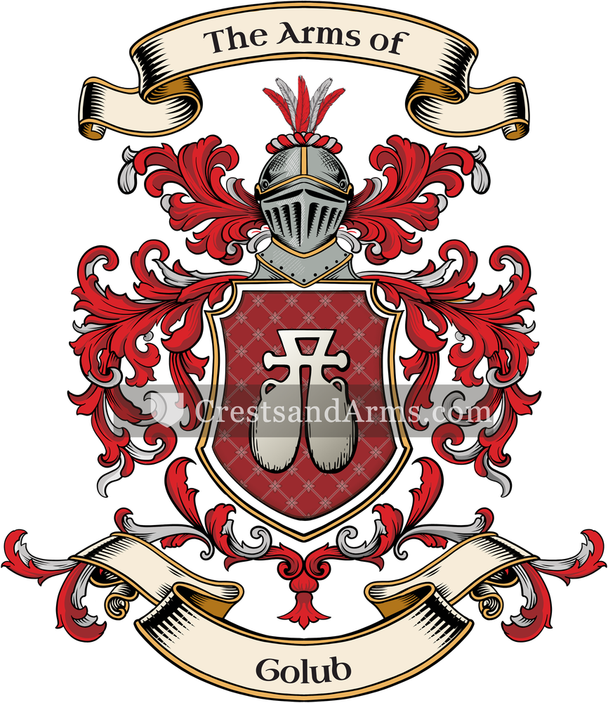The Golub coat of arms, drawn from the recorded blazon