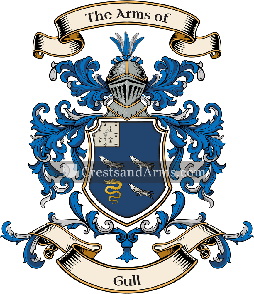The Gull coat of arms, drawn from the recorded blazon