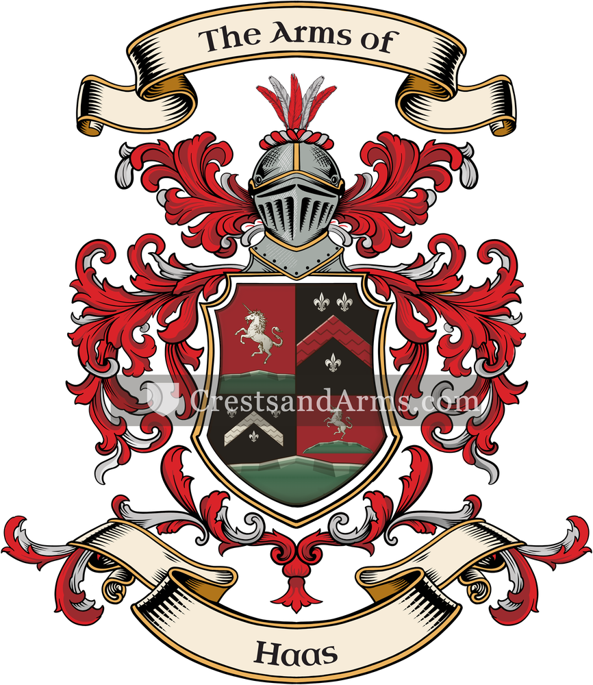 The Haas coat of arms, drawn from the recorded blazon