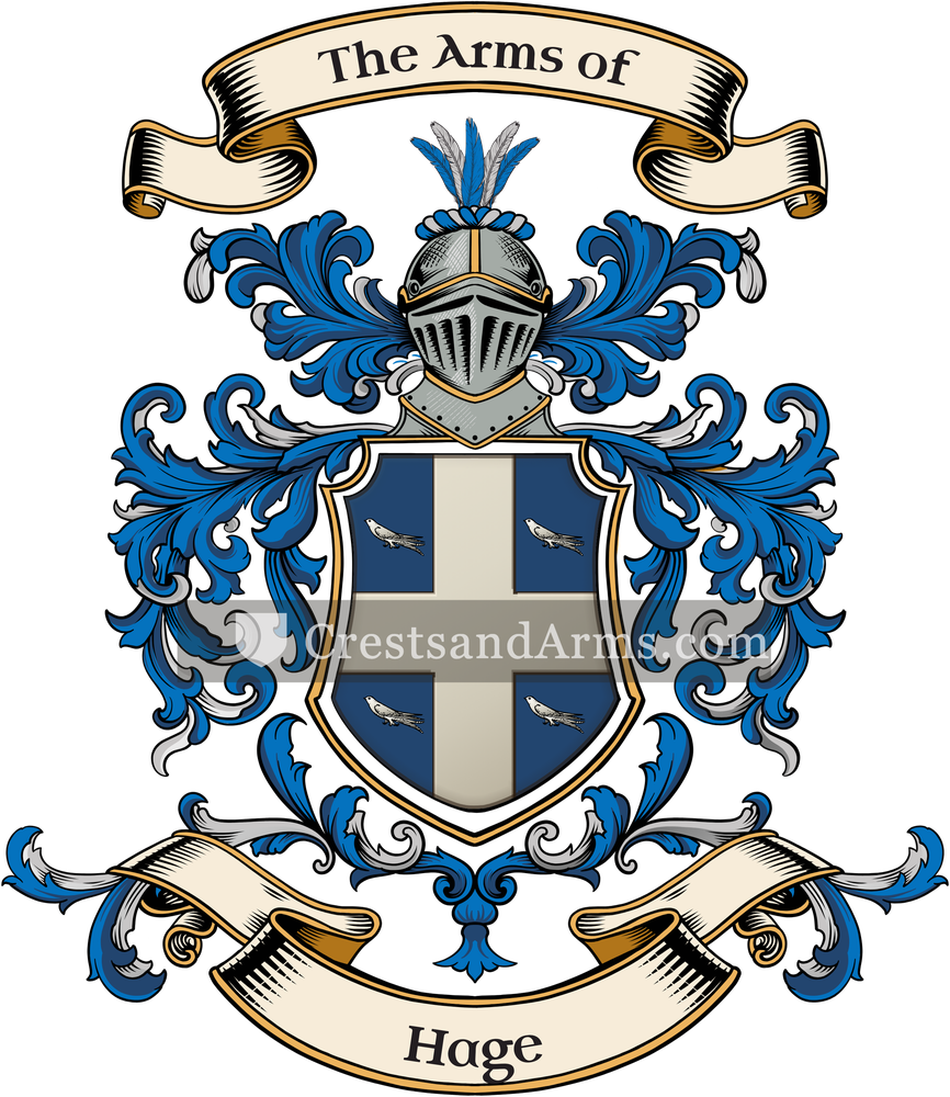 The Hage coat of arms, drawn from the recorded blazon