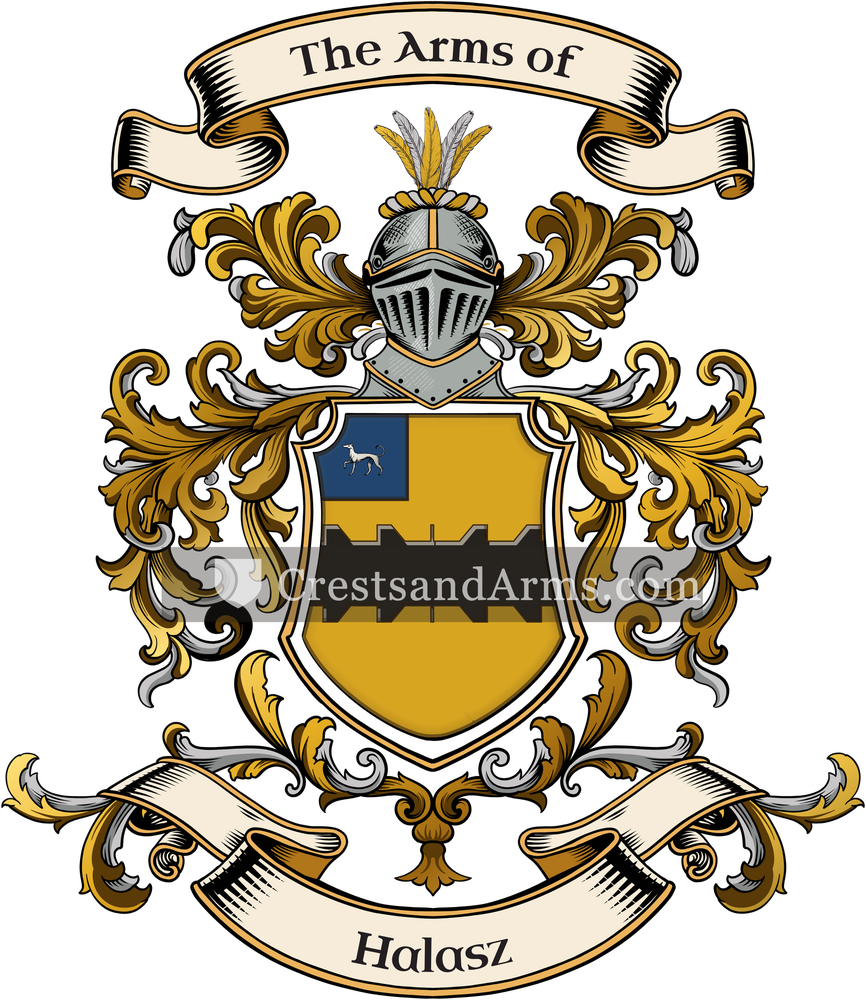 The Halasz coat of arms, drawn from the recorded blazon