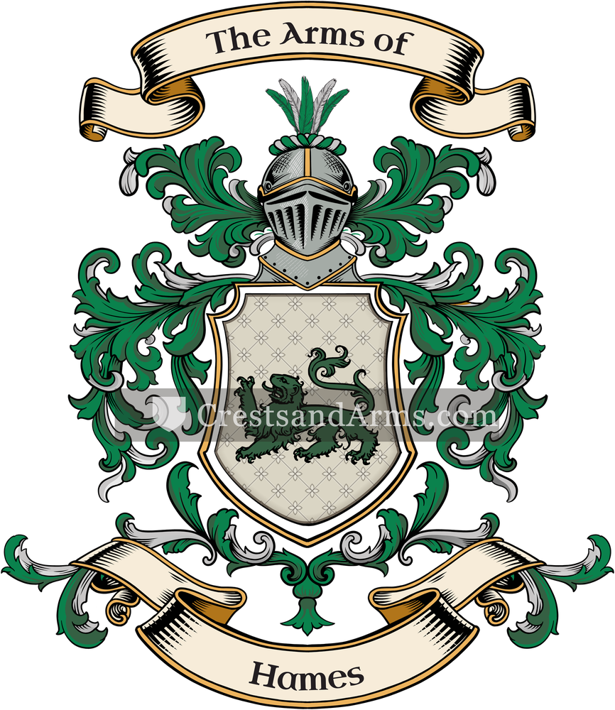 The Hames coat of arms, drawn from the recorded blazon