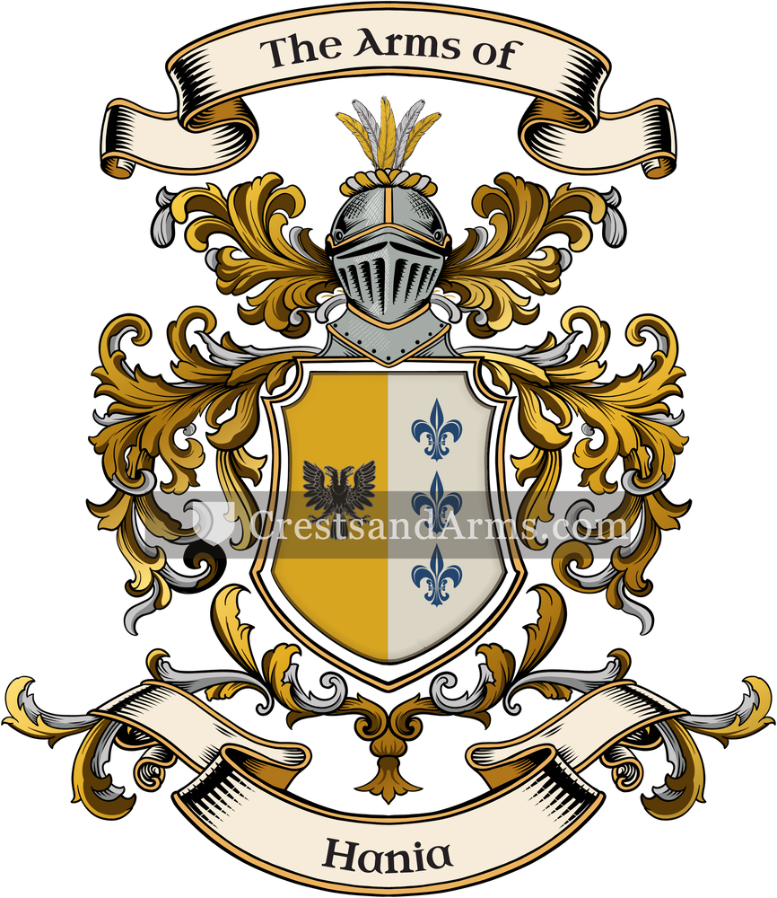 The Hania coat of arms, drawn from the recorded blazon