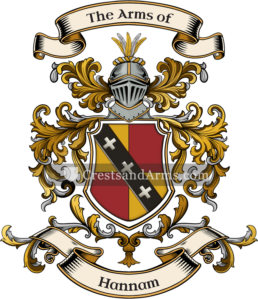 The Hannam coat of arms, drawn from the recorded blazon