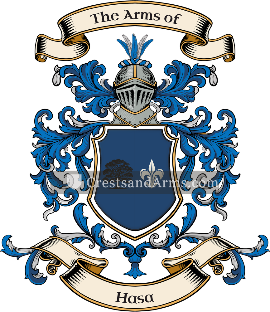 The Hasa coat of arms, drawn from the recorded blazon