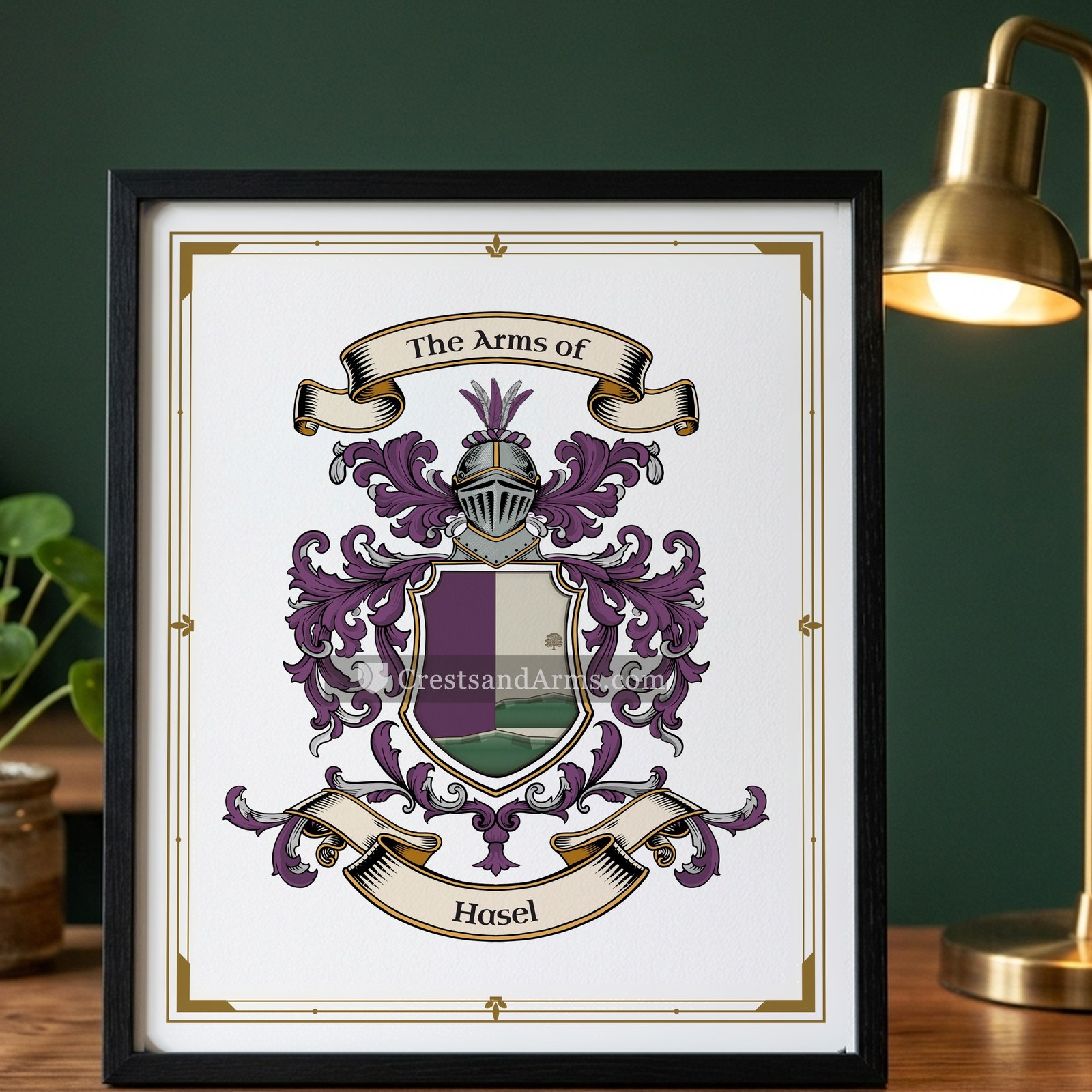 The Hasel arms on the framed, black wood
