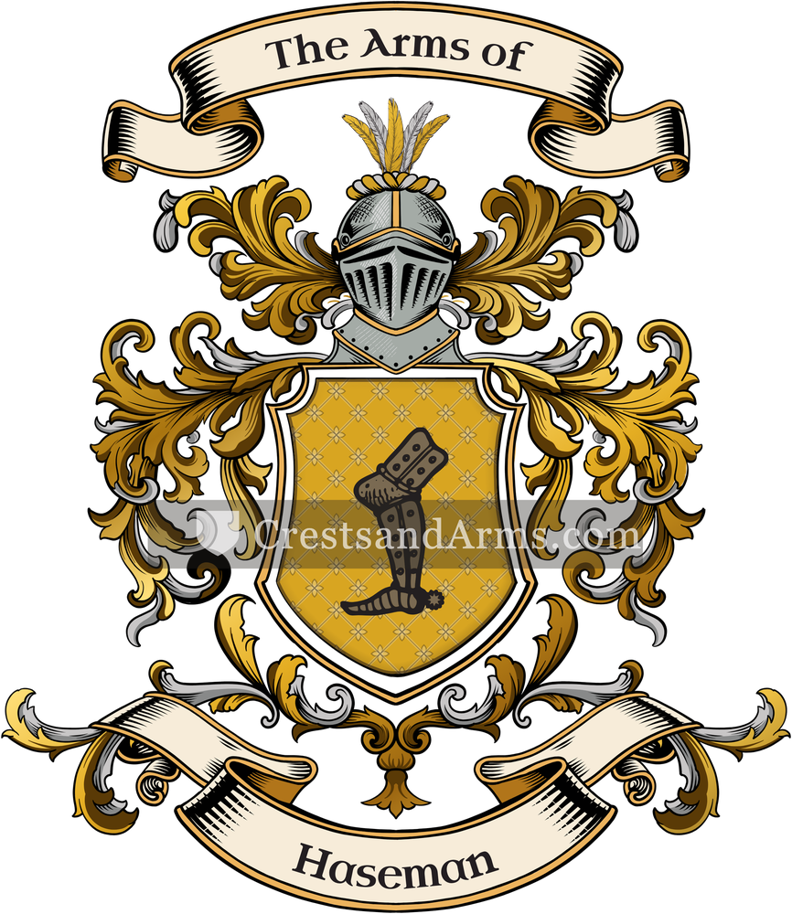 The Haseman coat of arms, drawn from the recorded blazon