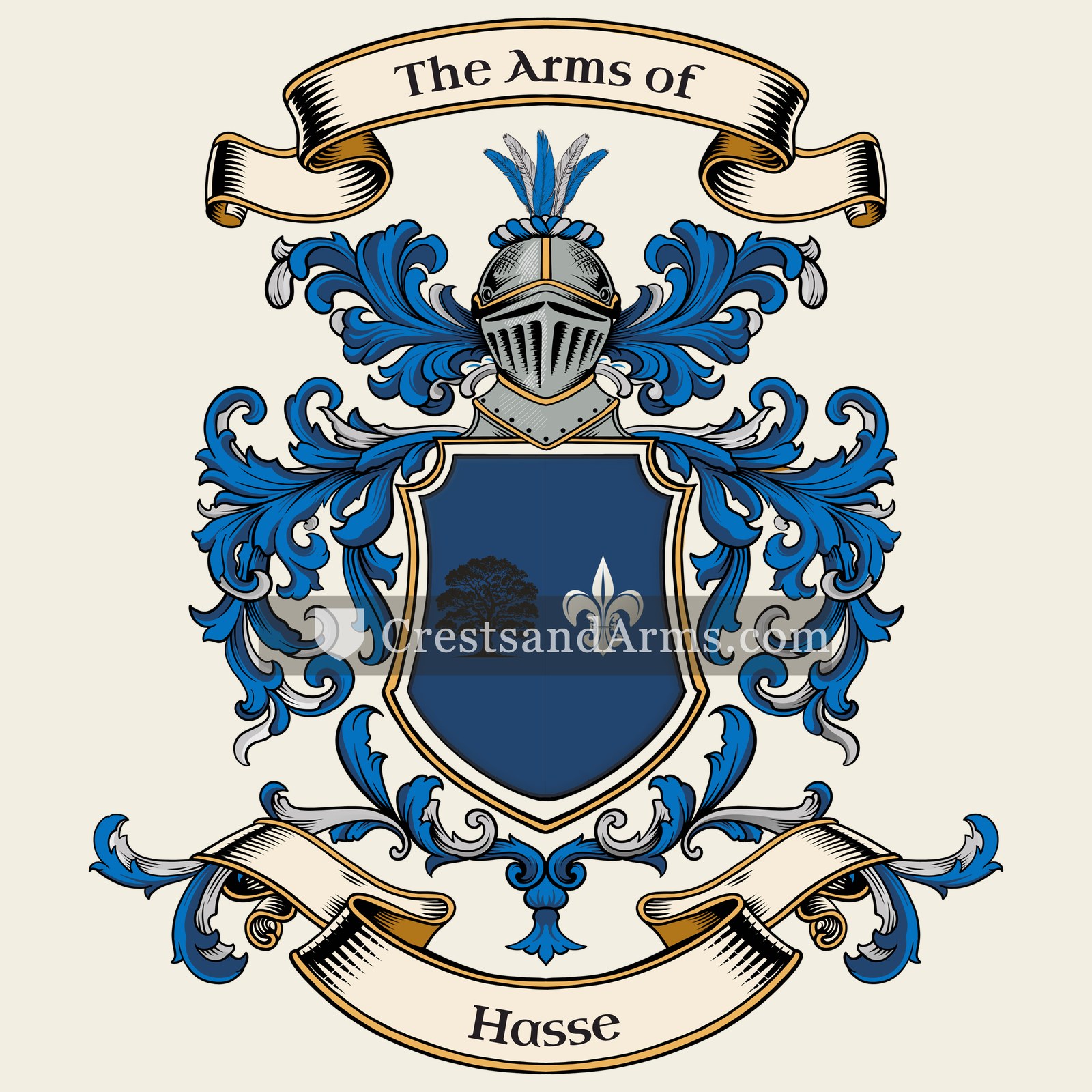 The Hasse coat of arms, drawn from the recorded blazon