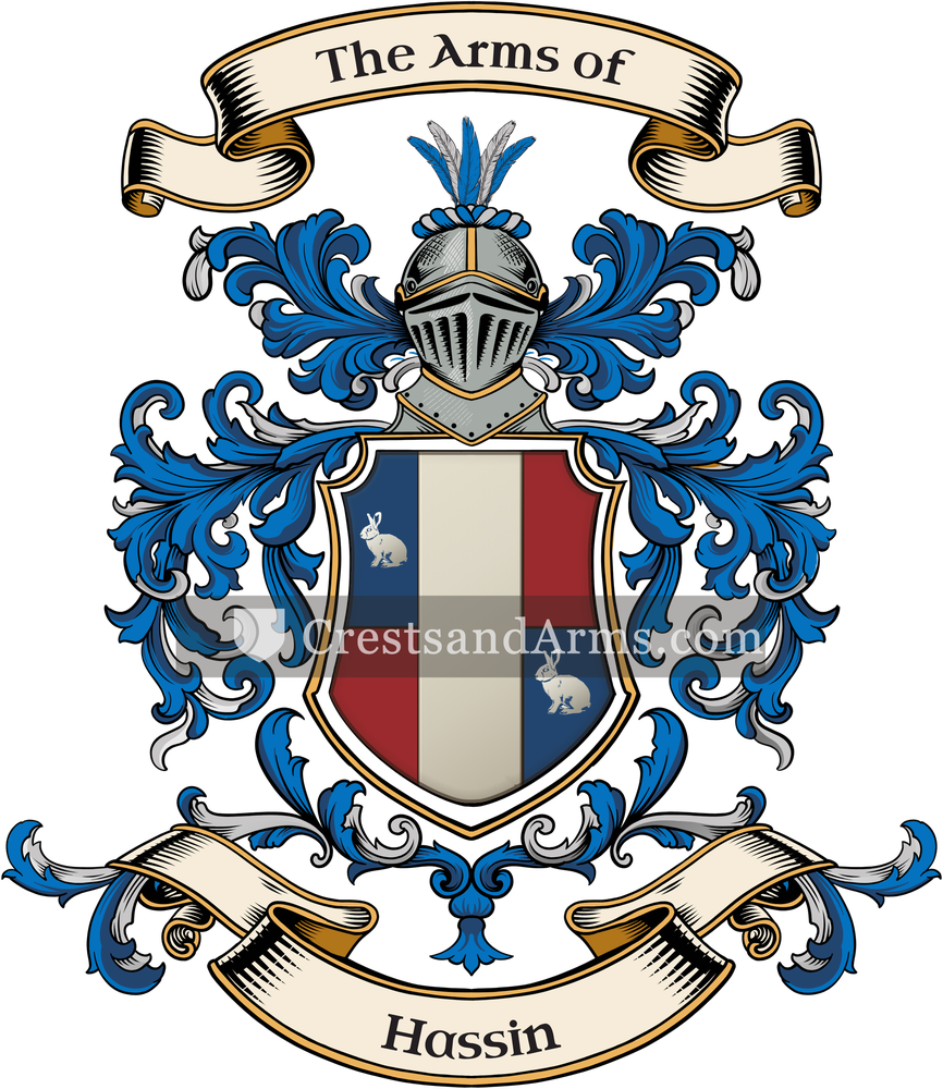 The Hassin coat of arms, drawn from the recorded blazon